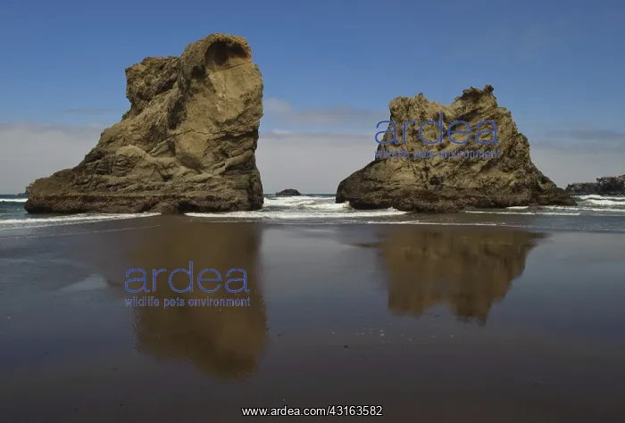 : Sea Stacks : Sea Stacks