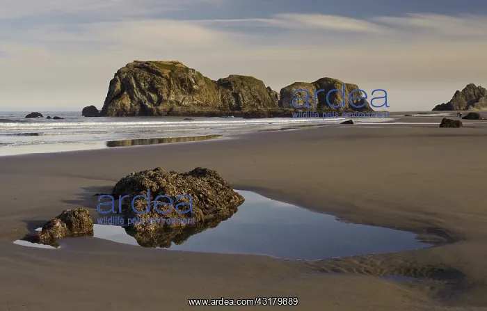 : Sea Stacks : Sea Stacks