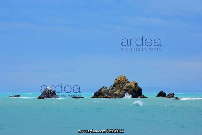 : Sea Stacks - jagged sea stacks amidst the South : Sea Stacks - jagged sea stacks amidst the South