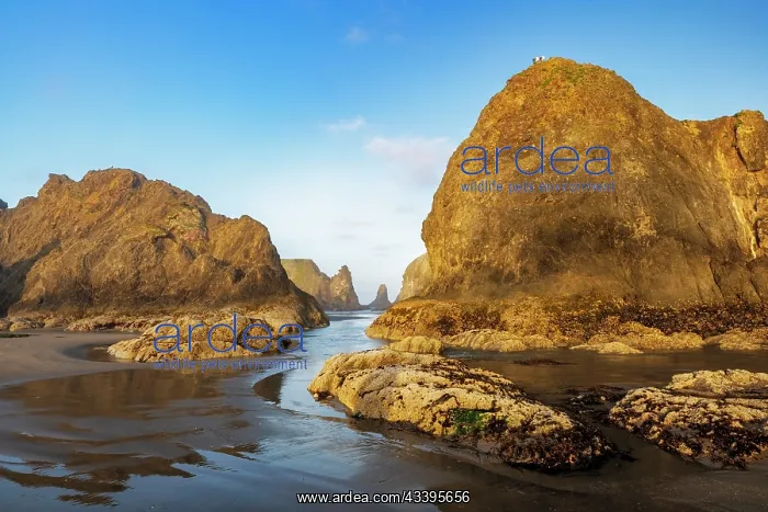 : Sea stacks on the Pacific coast on Bandon Beach : Sea stacks on the Pacific coast on Bandon Beach