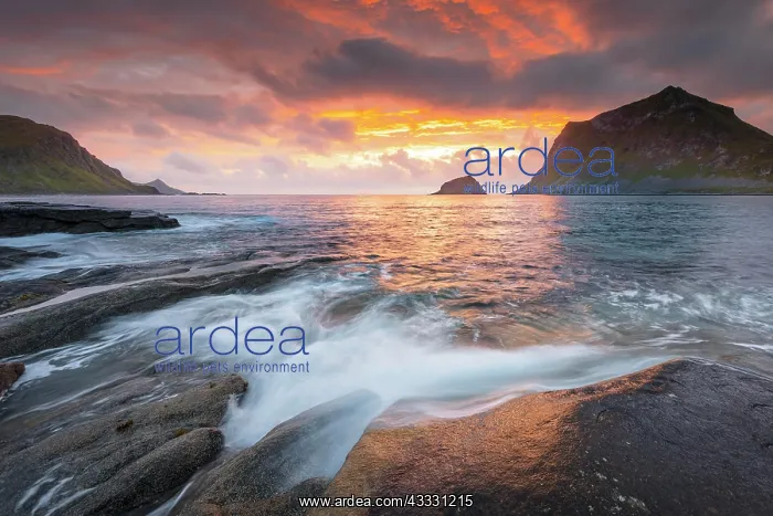 : Sea surf in warm evening light with coastal landscape : Sea surf in warm evening light with coastal landscape