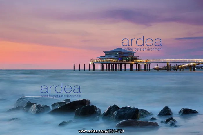  : Seabridge with restaurant at sunrise - Timmendorfer