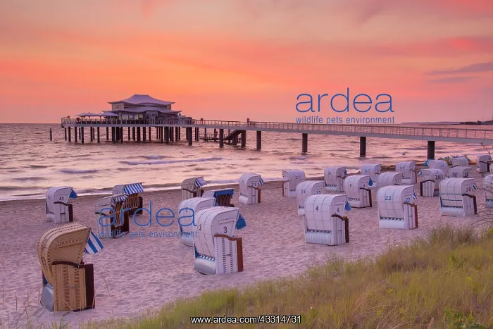: Seabridge with restaurant at sunrise - Timmendorfer : Seabridge with restaurant at sunrise - Timmendorfer