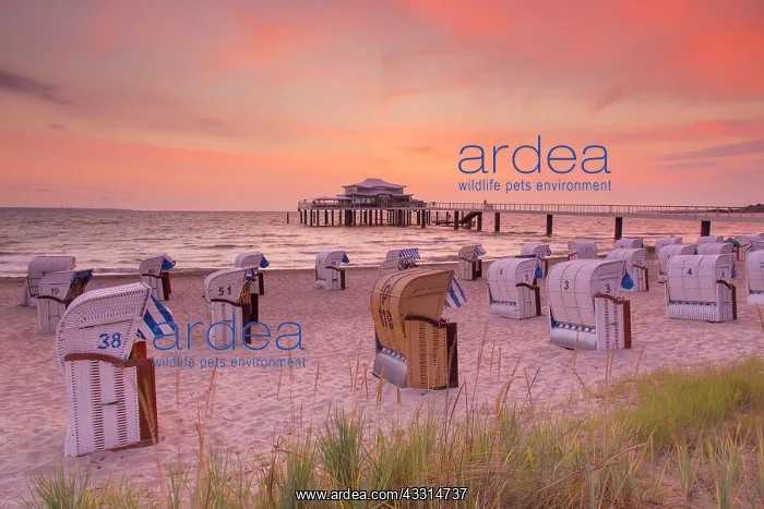 : Seabridge with restaurant at sunrise - Timmendorfer : Seabridge with restaurant at sunrise - Timmendorfer