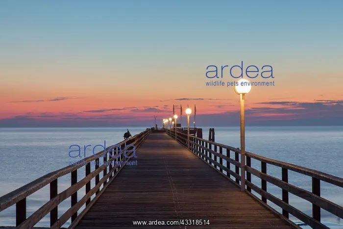 : Seabridge Scharbeutz at dawn - Germany : Seabridge Scharbeutz at dawn - Germany