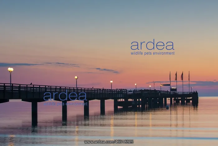 : Seabridge Scharbeutz at dawn - Germany : Seabridge Scharbeutz at dawn - Germany