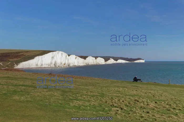 : SEAFORD, SUSSEX / UK - APRIL 5 : Man Sitting on a : SEAFORD, SUSSEX / UK - APRIL 5 : Man Sitting on a