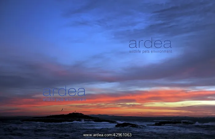  : Seal Island - At sunrise