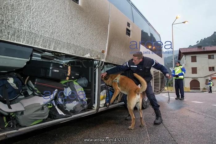 : Search for drugs in the hold of a car - France : Search for drugs in the hold of a car - France