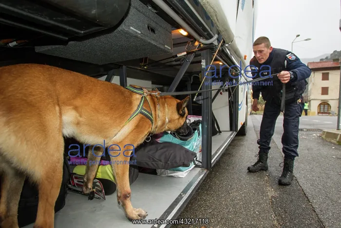 : Search for drugs in the hold of a car - France : Search for drugs in the hold of a car - France