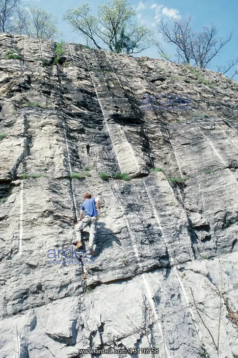 : Searching for Fossils : Searching for Fossils