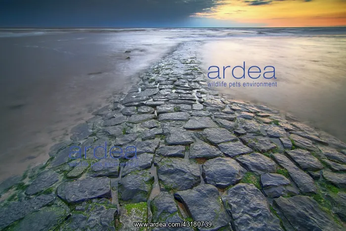 : Seascape with breakwater : Seascape with breakwater