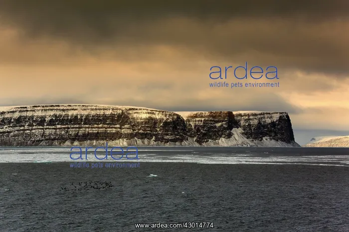 : Seascape clouds over arctic ocean and mountain range Summer : Seascape clouds over arctic ocean and mountain range Summer