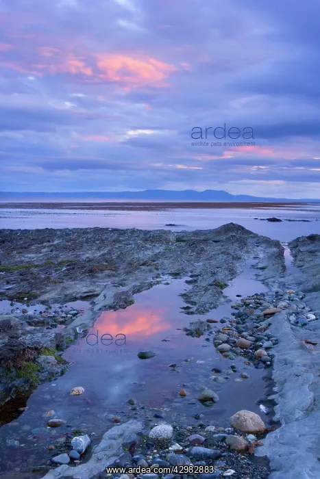 : Seascape at dusk - pink clouds at dusk over rocky : Seascape at dusk - pink clouds at dusk over rocky