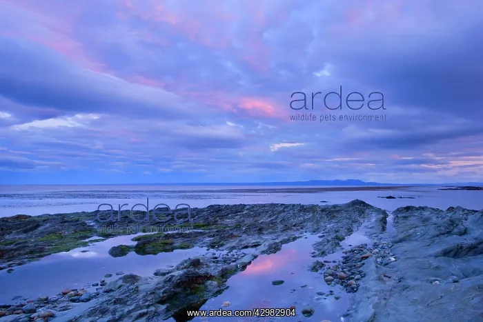 : Seascape at dusk - pink clouds at dusk over rocky : Seascape at dusk - pink clouds at dusk over rocky