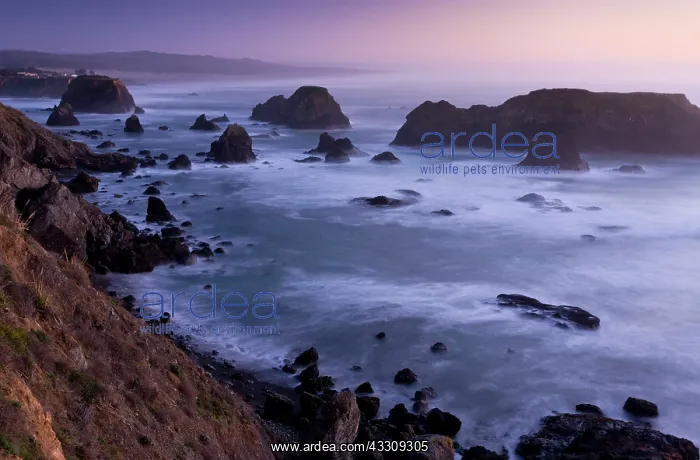 : Seascape - offshore rocks in the Pacific - at sunset : Seascape - offshore rocks in the Pacific - at sunset