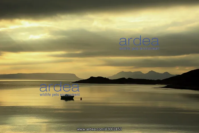 : Seascape Scotland Atlantic Coast, close to Mallaig : Seascape Scotland Atlantic Coast, close to Mallaig