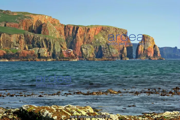 : Seascape - view from Braewick beach towards red : Seascape - view from Braewick beach towards red
