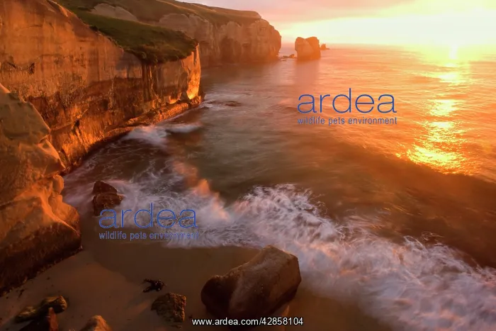 : Seascape - view down the rugged coastline at Tunnel : Seascape - view down the rugged coastline at Tunnel