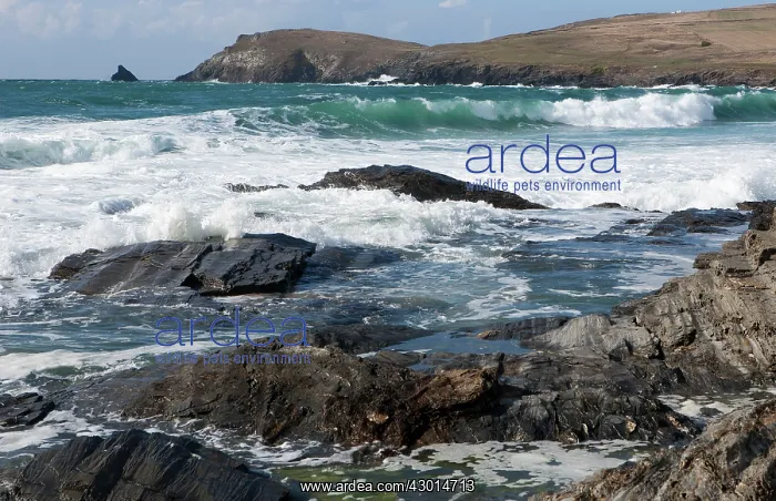 : Seascape waves breaking on beach : Seascape waves breaking on beach