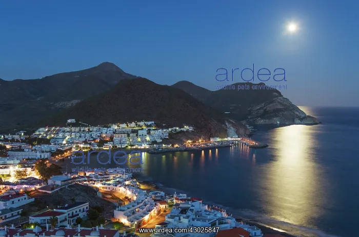 : The seaside town of San Jose in the nature reserve Cabo : The seaside town of San Jose in the nature reserve Cabo