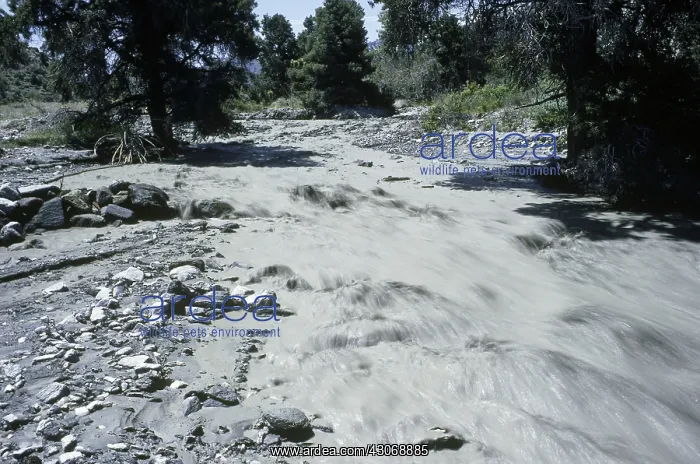  : Seasonal River