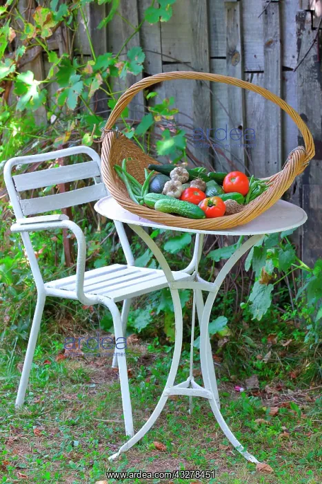 : Seasonal vegetables: courgettes, cucumbers, tomatoes : Seasonal vegetables: courgettes, cucumbers, tomatoes