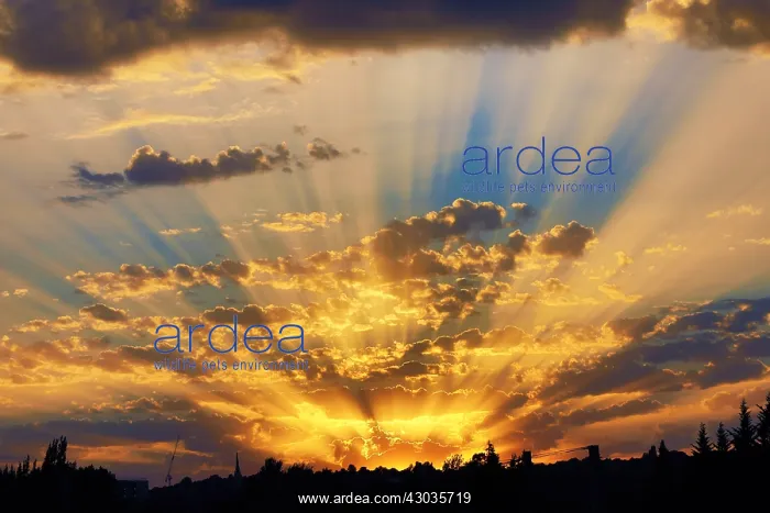: Seasonal weather: Beautiful sunset after a hot : Seasonal weather: Beautiful sunset after a hot