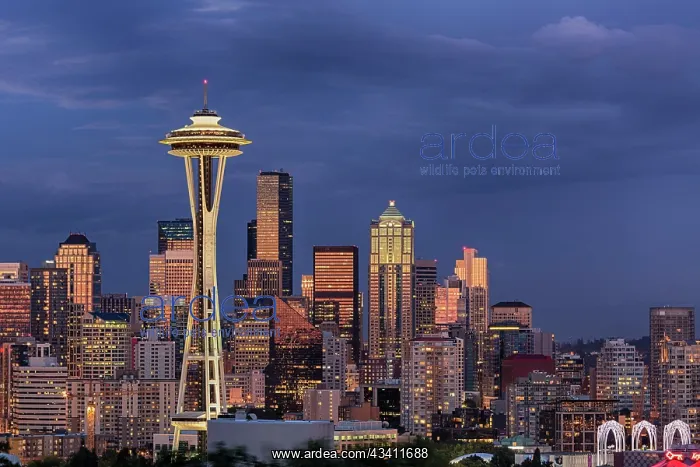 : Seattle skyline at dusk, Seattle, Washington State : Seattle skyline at dusk, Seattle, Washington State