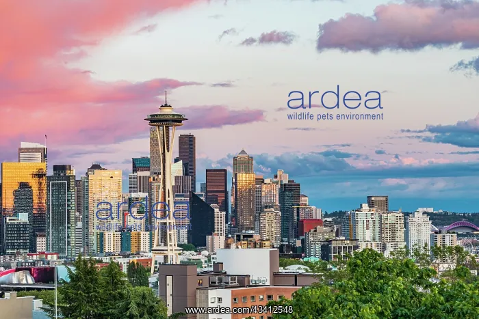 : Seattle, Washington State, USA. Downtown Seattle : Seattle, Washington State, USA. Downtown Seattle