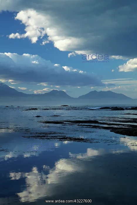 : Seaward Kaikoura Ranges and clouds reflected : Seaward Kaikoura Ranges and clouds reflected