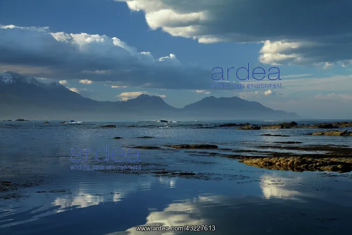 : Seaward Kaikoura Ranges and clouds reflected : Seaward Kaikoura Ranges and clouds reflected