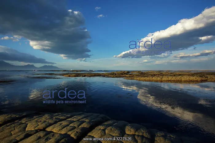 : Seaward Kaikoura Ranges and clouds reflected : Seaward Kaikoura Ranges and clouds reflected
