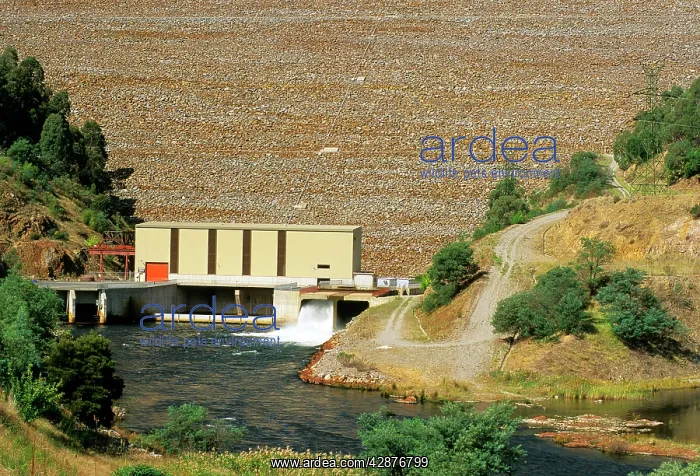  : SEC dam at Dartmouth