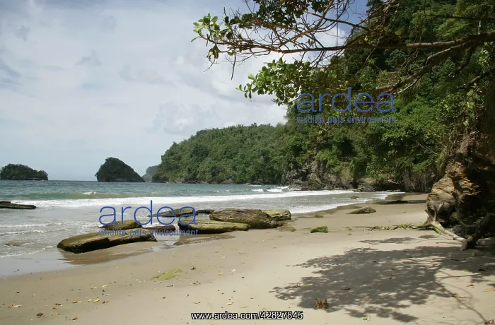  : Secluded beach on north coast of Trinidad
