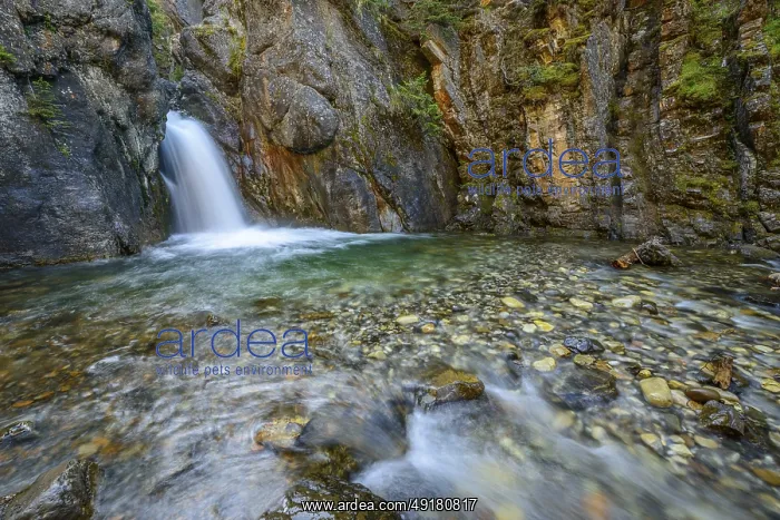 : Secluded Cat Creek Falls waterfall in Kananaskis Country : Secluded Cat Creek Falls waterfall in Kananaskis Country