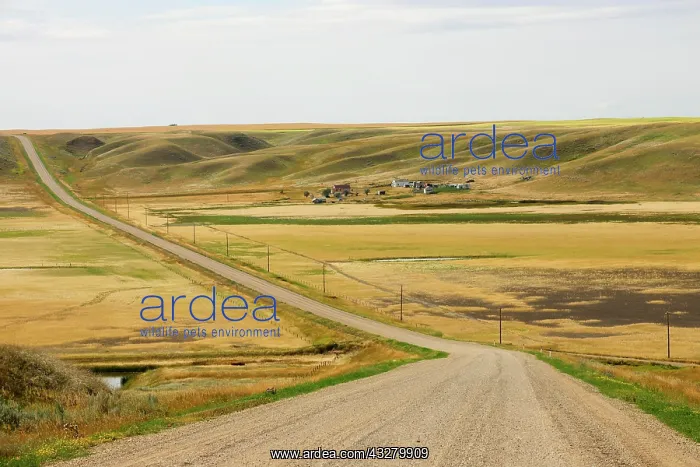 : Secluded farmhouse on a lonely road through the : Secluded farmhouse on a lonely road through the