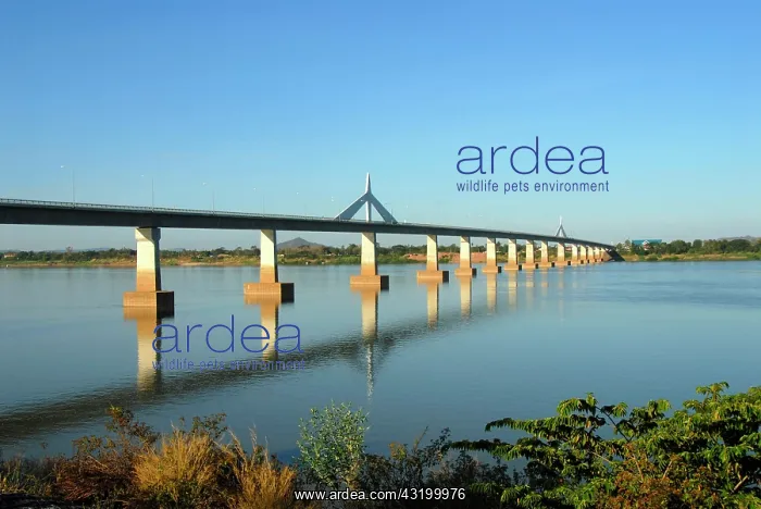 : Second Thai-Lao Friendship Bridge, bridge over the : Second Thai-Lao Friendship Bridge, bridge over the