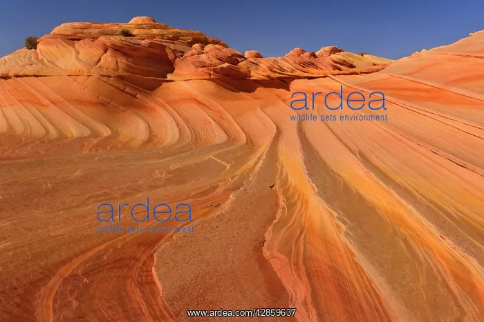 : Second Wave - carved rock made of jurrasic-age : Second Wave - carved rock made of jurrasic-age