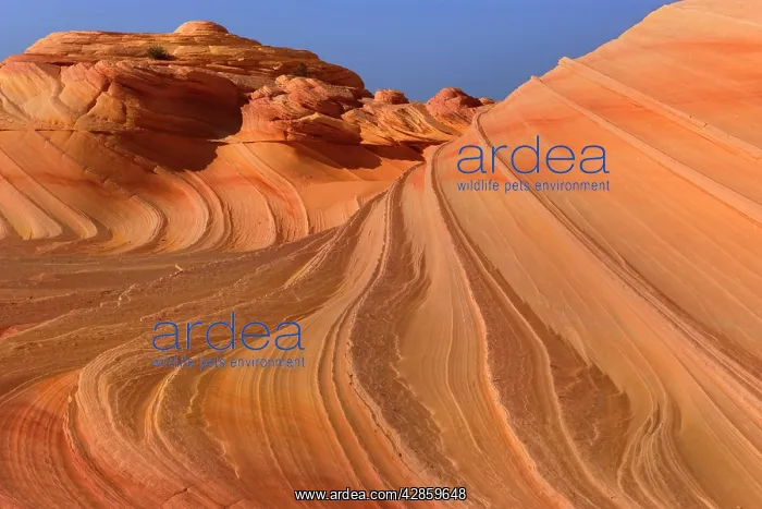 : Second Wave - carved rock made of jurrasic-age : Second Wave - carved rock made of jurrasic-age