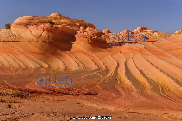 : Second Wave - carved rock made of jurrasic-age : Second Wave - carved rock made of jurrasic-age