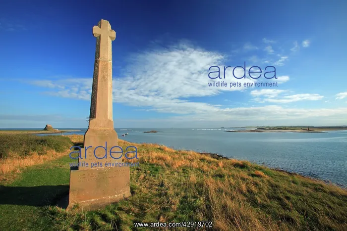 : Second World War Memorial - Holy Island, Lindisfarne : Second World War Memorial - Holy Island, Lindisfarne