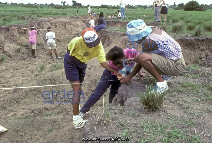 : Secondary school pupils carrying out geography : Secondary school pupils carrying out geography