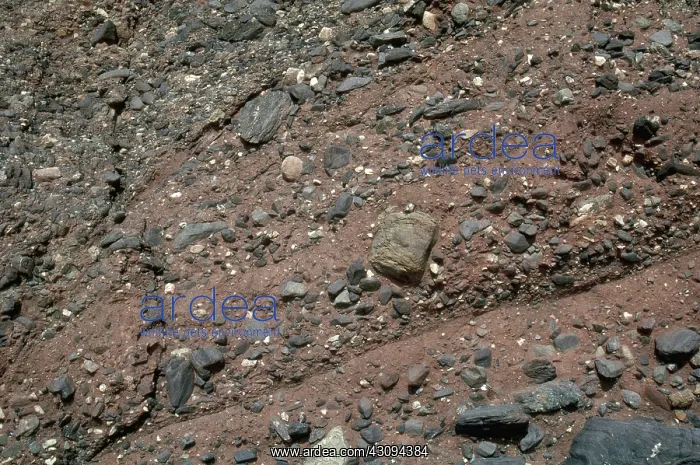 : Sedimentary Layers : Sedimentary Layers
