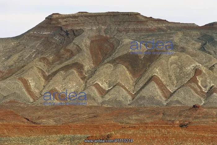 : Sedimentary Rock Layers : Sedimentary Rock Layers