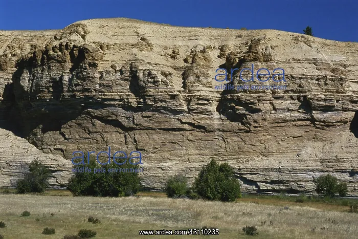 : Sedimentary Rock Layers : Sedimentary Rock Layers