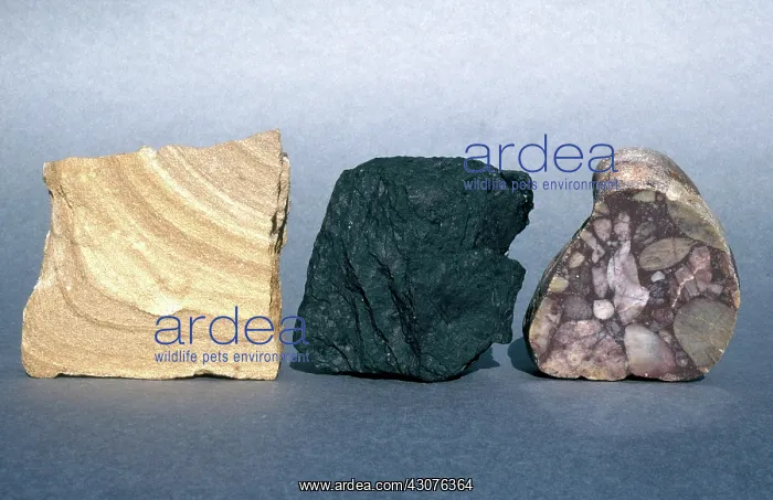 : Sedimentary Rocks : Sedimentary Rocks