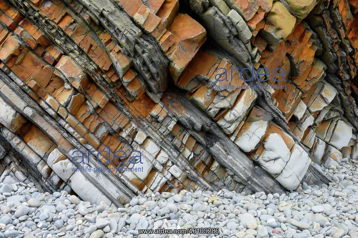 : Detail of a sedimentary sandstone layer in the cliffs : Detail of a sedimentary sandstone layer in the cliffs