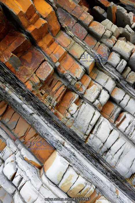 : Detail of a sedimentary sandstone layer in the cliffs : Detail of a sedimentary sandstone layer in the cliffs