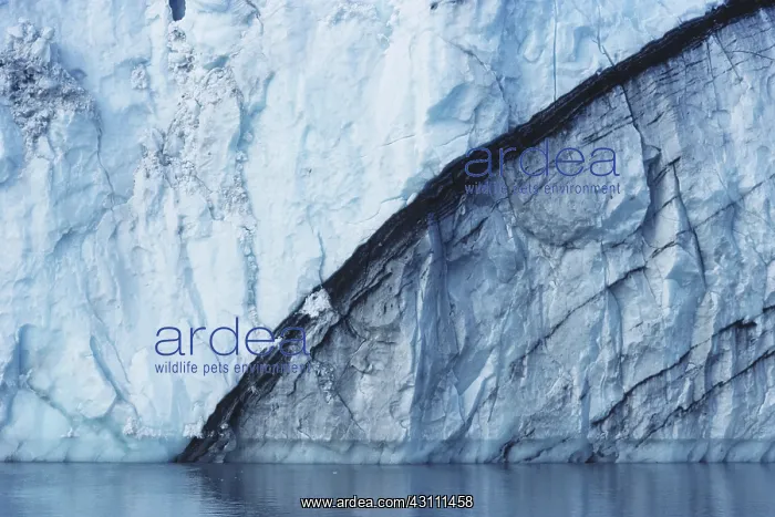 : Sediments in Harvard Glacier : Sediments in Harvard Glacier